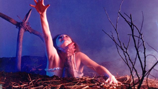 https://montrealcampus.ca/wp-content/uploads/2016/10/the-evil-dead-promo-shoot-1981-lobby-640x360.jpg