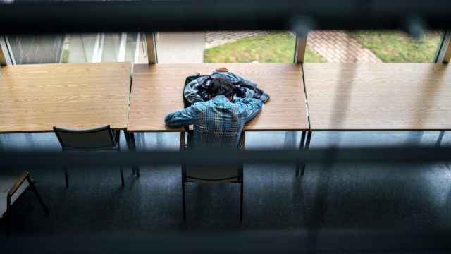 https://montrealcampus.ca/wp-content/uploads/2018/11/Dodo_Campus_2018_1-640x360.jpg