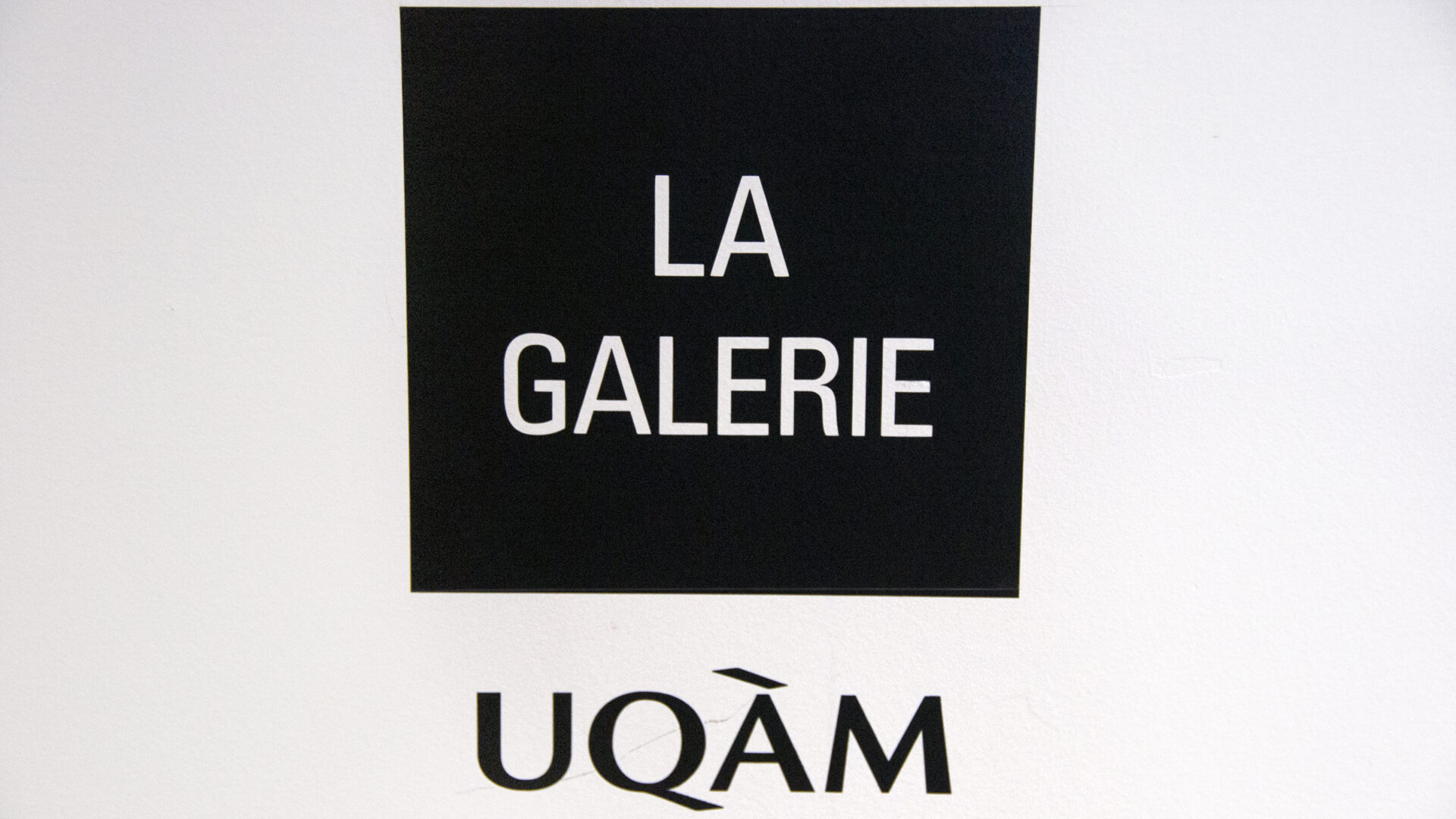La Galerie de l’UQAM s’adapte à la pandémie