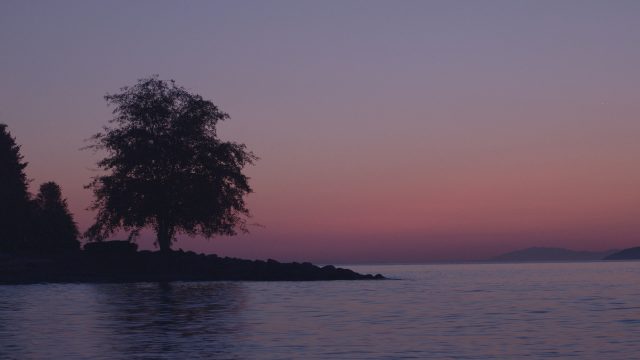 https://montrealcampus.ca/wp-content/uploads/2022/11/Milena-Salazar_Melodious-Image-640x360.jpg