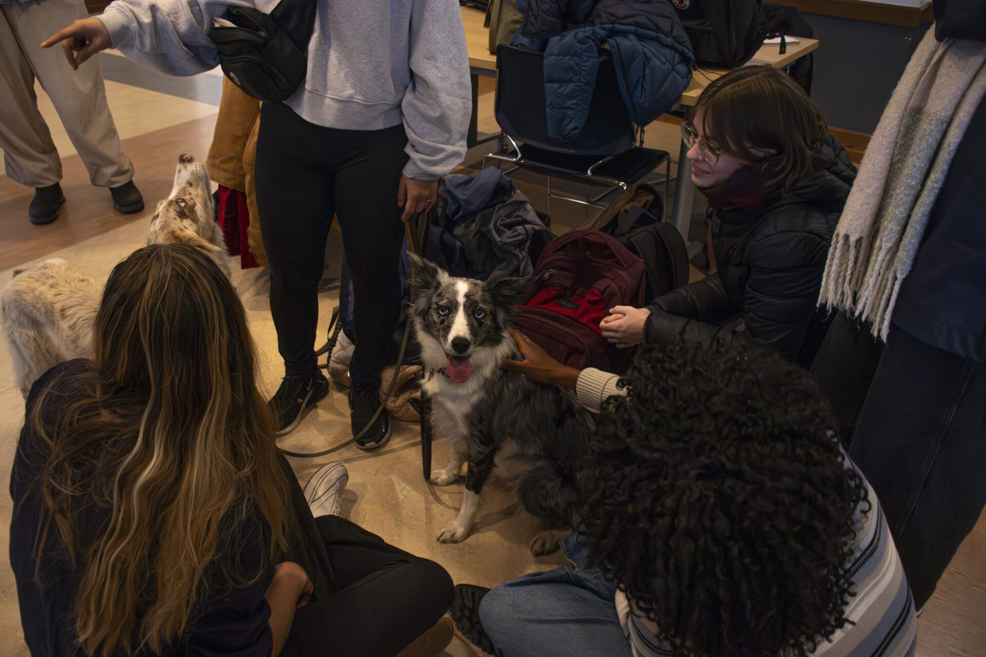 Les étudiant(e)s se sont empressé(e)s de flatter les chiens présents. Mention photo : Léa Lemieux.